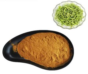 China Honeysuckle Flower Plant Extracts Chlorogenic Acid 5% Anti Virus on sale