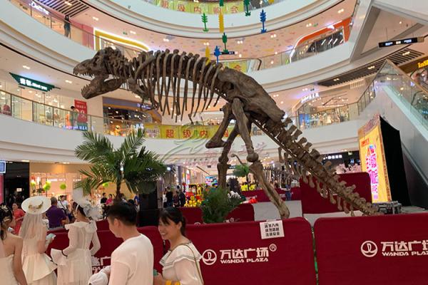 Cheap Artificial Simulation Complete Dinosaur Fossil Model Customization Support for sale