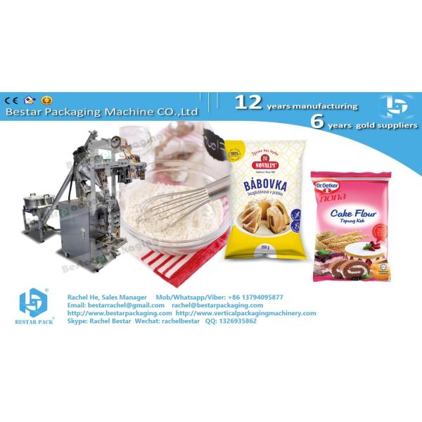 Baby Food Powder Small Sachet Packing Machine BSTV-160F
