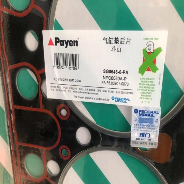 65.03901-0073 Excavator Engine Parts D2366 D2366T D2366TA Cylinder Mattress Gasket Daewoo DH280 DH370-7