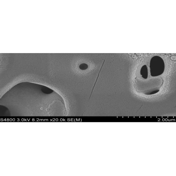 Polyethersulfone PES Microporous Membrane With PET As Supporting Layer In Rolls For Medical Use