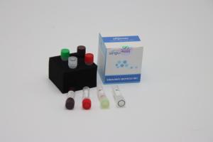 Best Avian Influenza Virus RT PCR Testing Kit 48 96 Tests Nasal Swab Test Kit wholesale