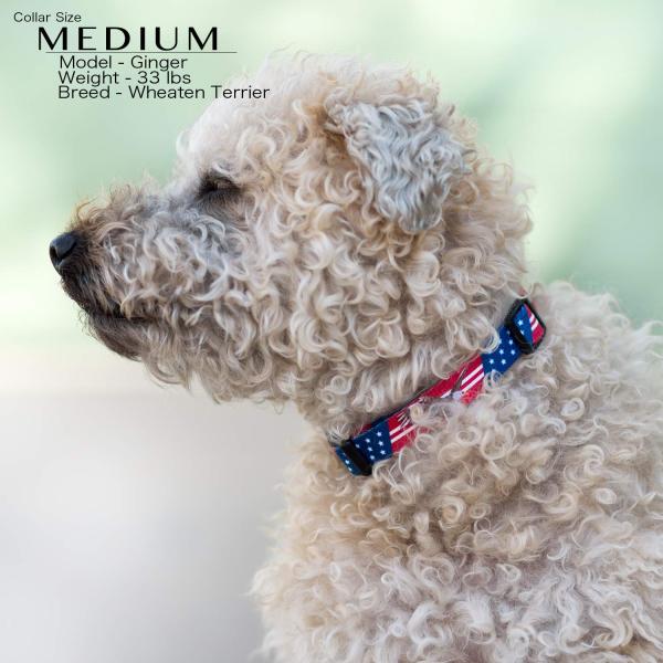 All Seasons Polyester Dog Collar Buckle Type Customized American Flag Design