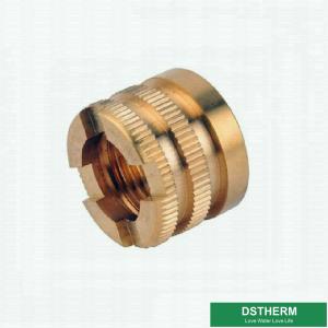 Best Brass Color Female Brass Inserts For Ppr Fittings Customized Designs wholesale