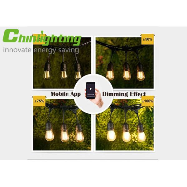 Mobile App S14 Decorative Dimmable Smart Lights