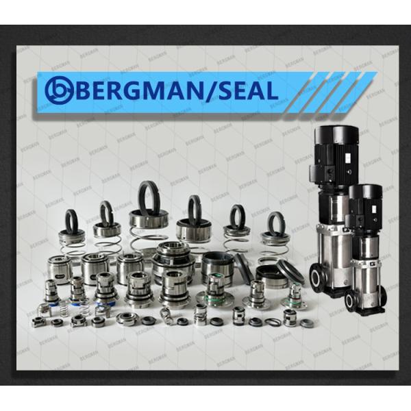 BERGMAN Replaces John Crane 2100-K 12mm-100mm G60 G4 G6 G9 G13 G16 BS Bo BP Pump Mechanical Seal