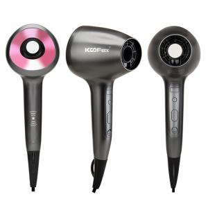 Brushless Motor Household Hair Dryer Zero Radiation 50Hz Fast Drying