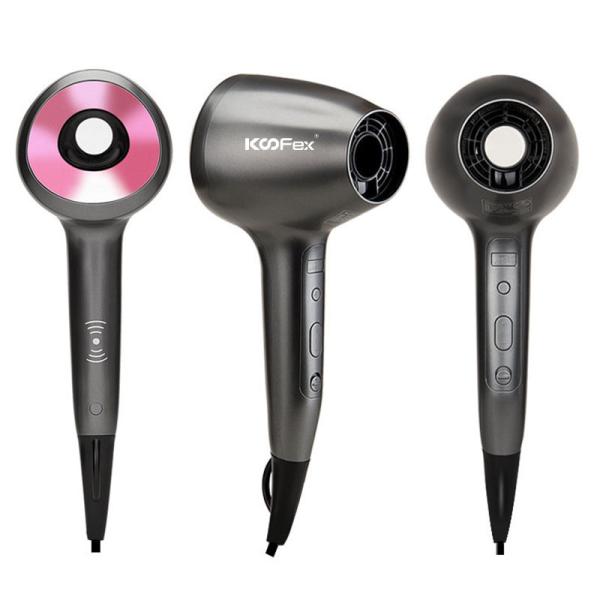 Cheap Brushless Motor Household Hair Dryer Zero Radiation 50Hz Fast Drying for sale