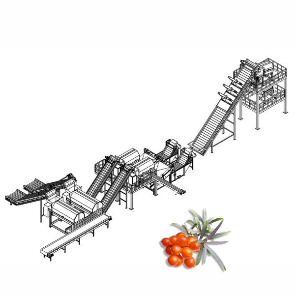 Cheap Juice Processing Machine Juice Manufacturing Plant For Seabuckthorn for sale