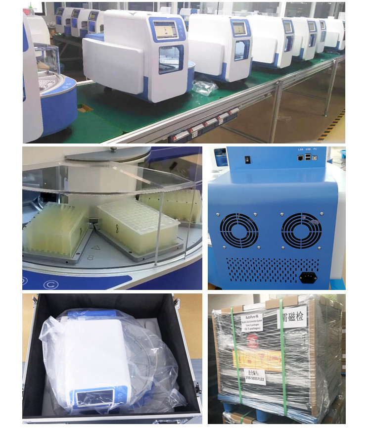 PCR Test Instruments Kingfisher Flex Nucleic Acid Extraction System For RNA DNA