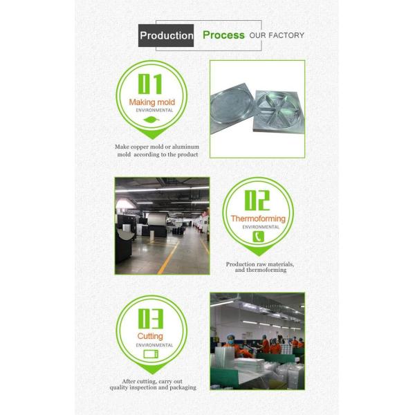 Microwave 40%PP 3L Disposable Take Away Containers Thermoforming