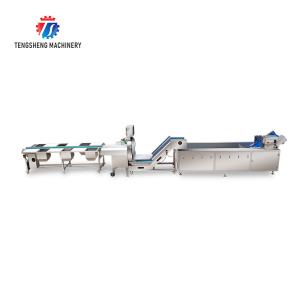165MM Belt Industrial Vegetable Processing Machine Fruit Selection Washing