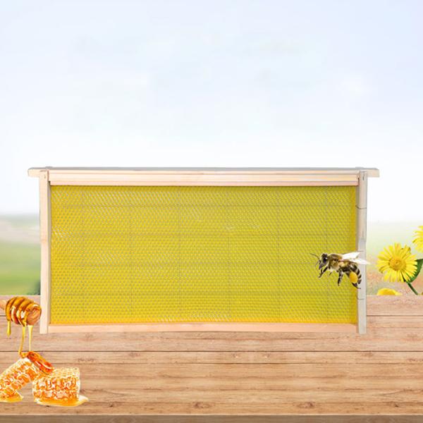 Traditional Beekeeping Honey Bee Frames With Foundation 48.3cm×44.8cm×23.2cm