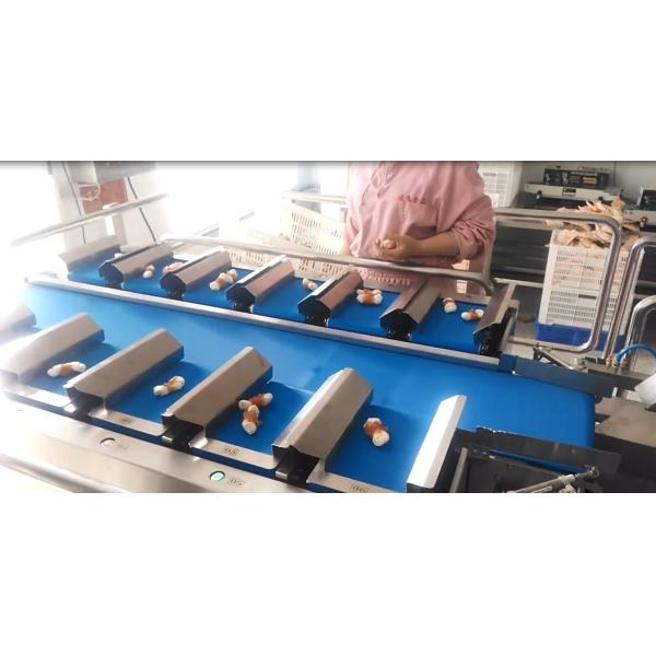 12 Head Combination Irregular Shape Fruit Multihead Weigher