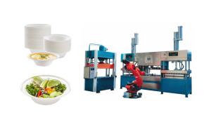 China 4000-6000 Pcs/Hour Paper Pulp Molding Machinery For Virgin Pulp Raw Material on sale