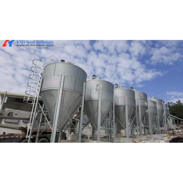 Customized Piggery Farm Equipment Fully Automatic Pig Wet Dry Feeder