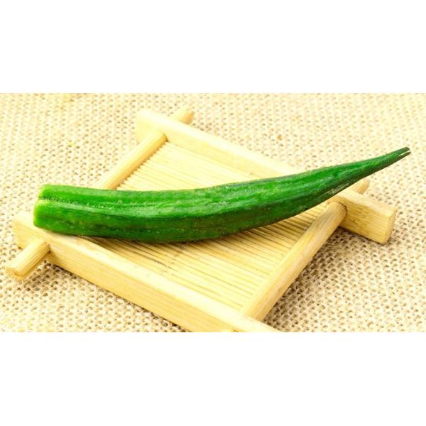 Automatic Vegetable Chips Making Machine , Vacuum Okra Chips Fryer Machine