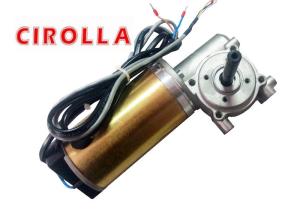 Best Golden Color Heavy Load Automatic Sliding Door Motor / DC Gear Motor With Encoder 100W 24VDC wholesale
