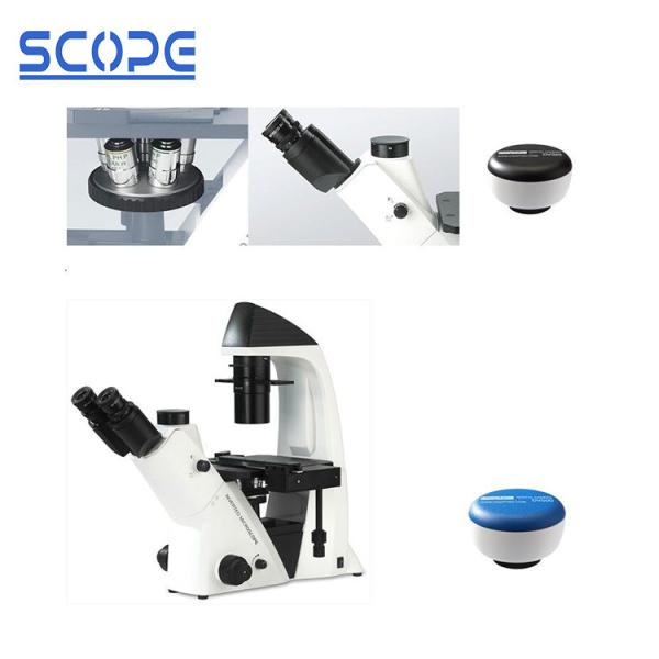 Cheap Inverted Stand Trinocular Biological Microscope , Trinocular Inverted Microscope for sale
