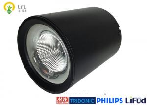 Best 120lm/W 30W Black LED Commercial Ceiling Lights With Dia Casting Aluminum wholesale
