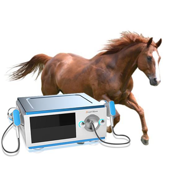 Physiotherapy Race Horses Shockwave Therapy Machine