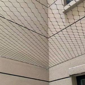 Stainless steel wire mesh trellis