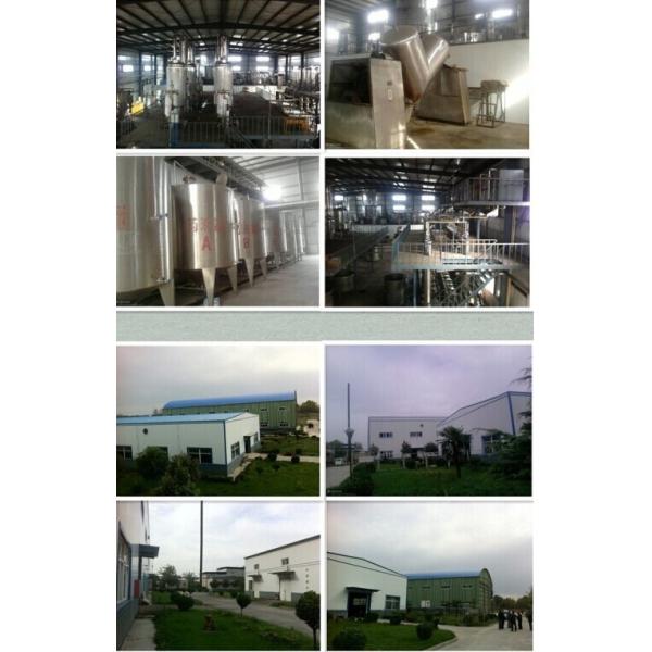 Hongkong Solomon International Trade Group Co., Limited