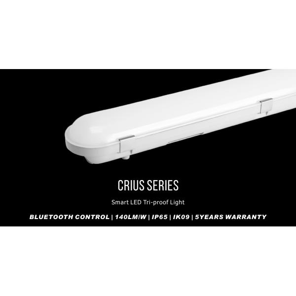 Dimmable LED Tri-Proof Light