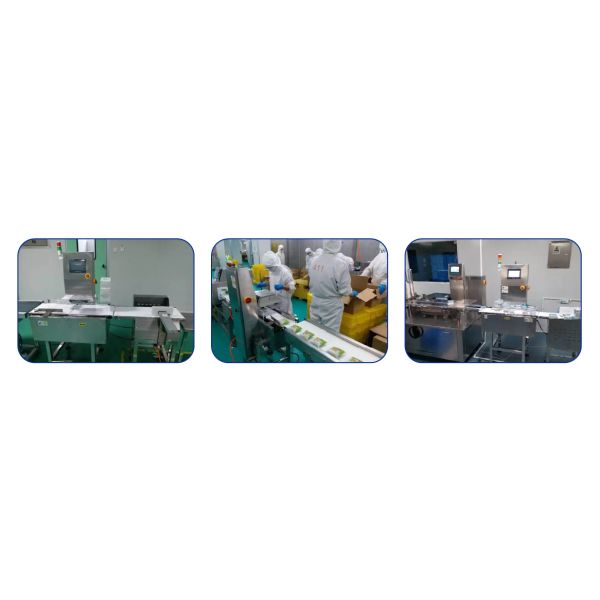 Industrial Automatic Checkweigher Scales Package Sorting Roller Scale Machine