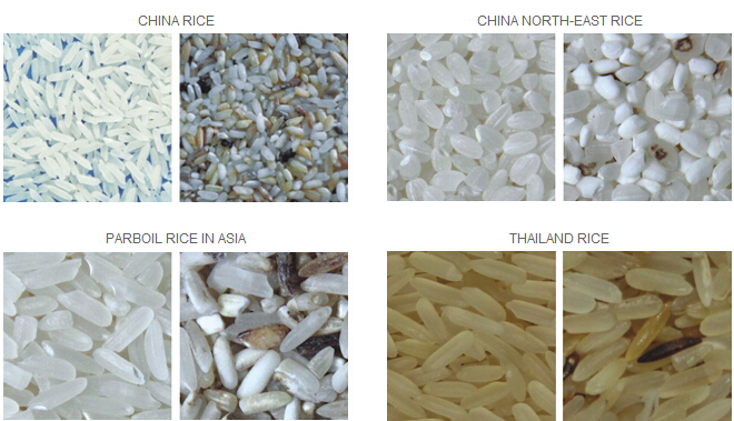 Easy Using Rice Color Sorting Machine Intelligent Image Processing Algorithm