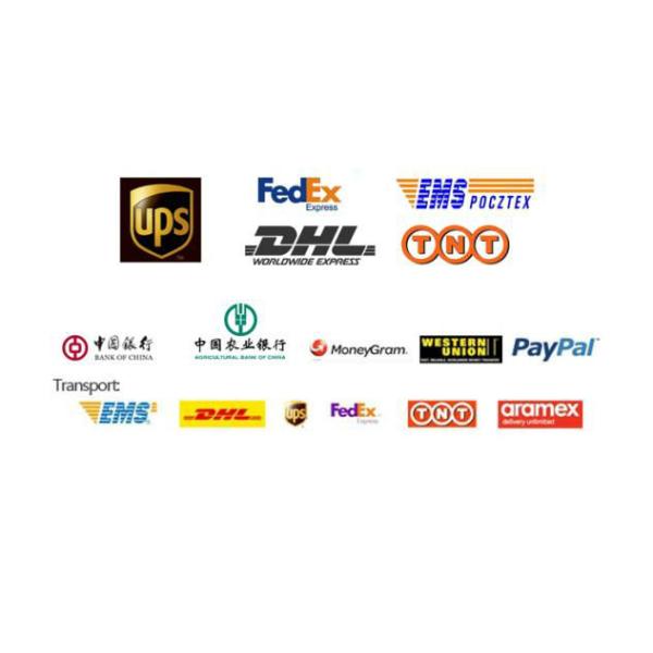 50Hz / 60Hz Permanent Makeup Machine , Eyebrows Tattoo Machine Kit