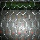China Stainless Steel Hexagonal Wire Netting/Poultry Netting on sale