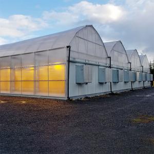 Best Led Grow Lighting Tunnel Auto Light Dep Greenhouse Multi Span For Hemps Growing wholesale