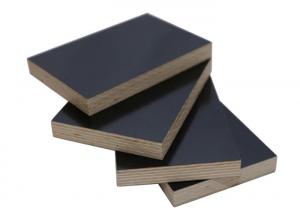 Best Durable Laminate Faced Birch Plywood , Black Film Faced Plywood Sheets wholesale