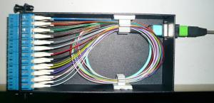 China 1*8 2*24 MPO Breakout Cable Transition Cassette For Data Center on sale