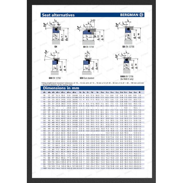 BERGMAN Replaces John Crane 2100-K 12mm-100mm G60 G4 G6 G9 G13 G16 BS Bo BP Pump Mechanical Seal