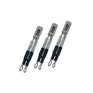 Temperature Protection Ceramic Tube Thermal Fuse 120C 16A 250V For Home