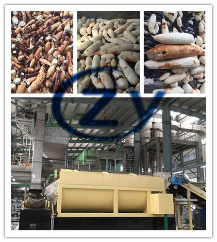 Large Handling Capacity Cassava Drum Rotary Washing Machine SS304 Material