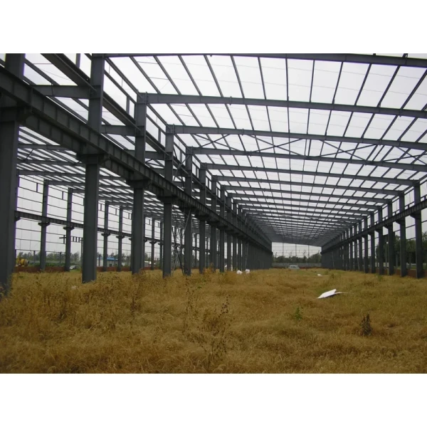 Customized Steel Structure Buildings