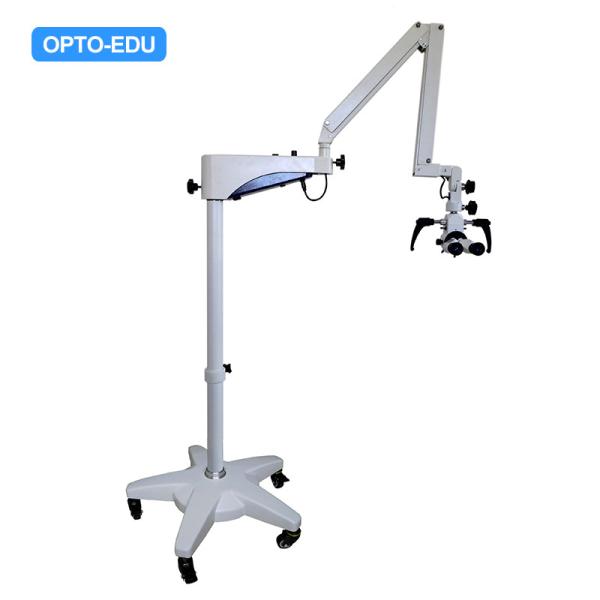 Cheap 6x 50-80mm Adjustable Dental Operating Microscope for sale