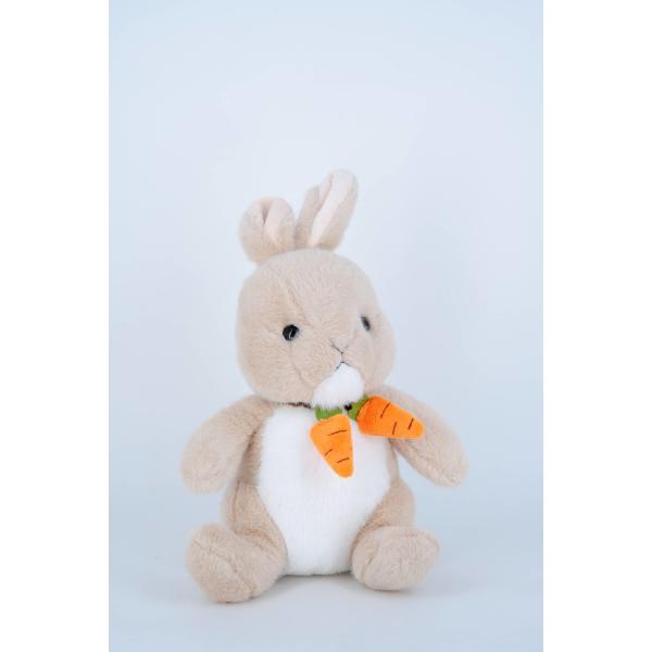 OEM Custom Design Made Mascot Dolls Carrot Rabbit Holding Cute Plush Toy