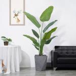 H160cm Artificial Traveller's Palm Customized Decorated For Store Office Corner