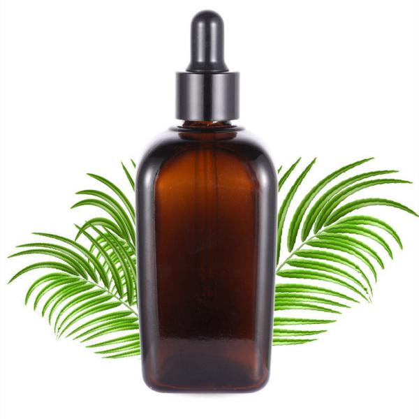 Cheap OEM Perfume Dropper Glass Essential Oil Bottles 20ml 50ml 100ml for sale