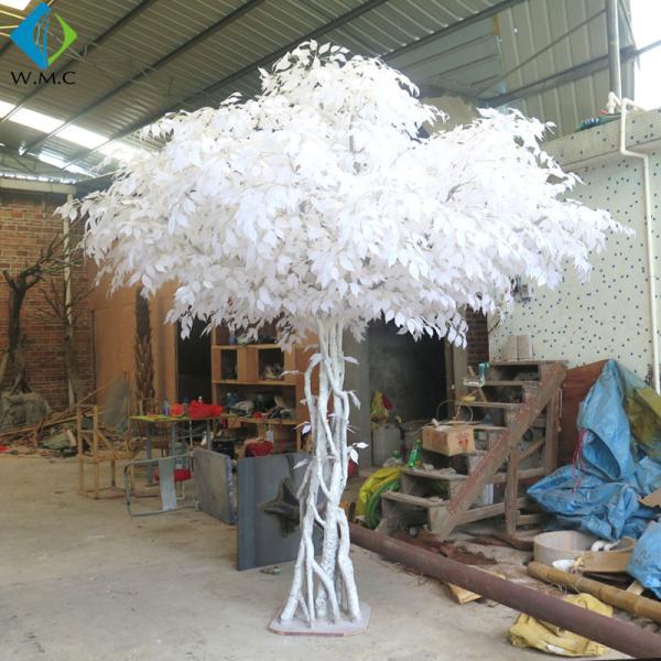 T12056 white wedding trees.jpg