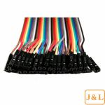 2x 40 Conductor (80pcs) Male to Female Jumper Wire 20CM; 40P Wires Ribbon Cable
