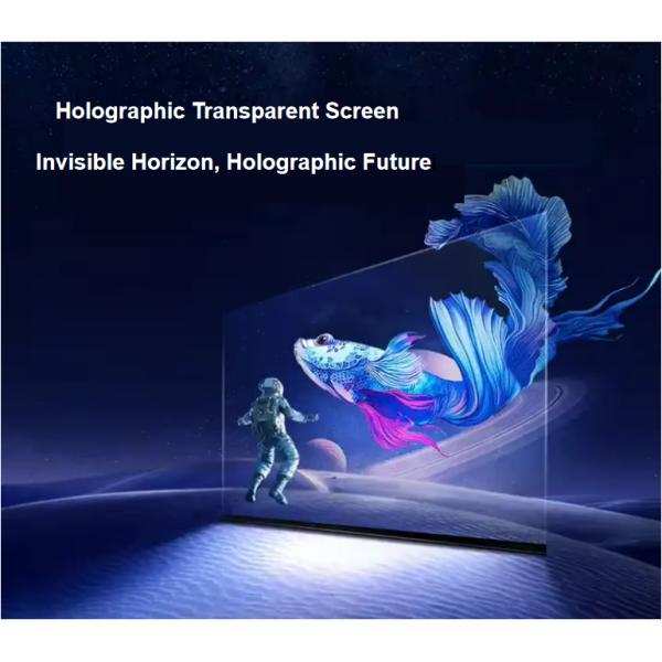 P6.25 Indoor Holographic Transparent LED Display