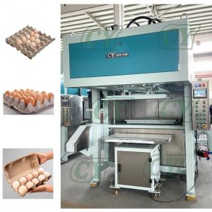 Best Automatic egg tray machine egg carton machine pulp molded production line wholesale