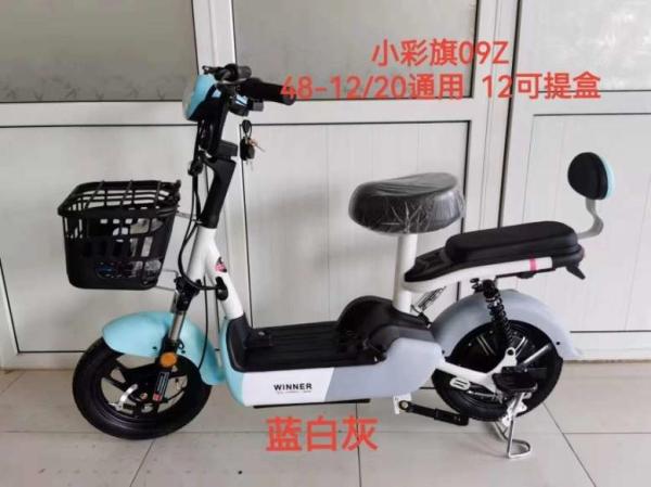 Cheap Two 2 Wheel Electric Scooter 14 Inch Wheels For Adults 48v 500w 12Ah for sale
