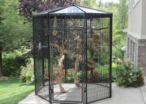 Best Five Sided Walk In Bird Aviary (BASIC PACKAGE) wholesale