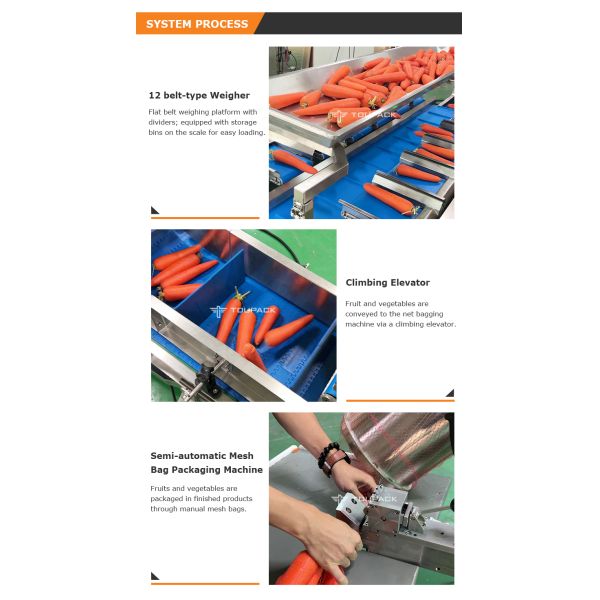 12 Head Fruit Multihead Weigher